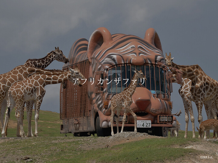 九州自然動物公園アフリカンサファリ